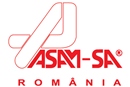 Амортизатор, ASAM, 05519