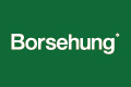 Ущільнення, голівка циліндра, Borsehung, B19129